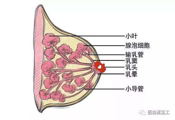 微信圖片_20190328170127.jpg