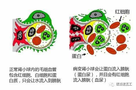 微信圖片_20190412144435.jpg