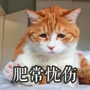 微信圖片_20190412144438.jpg