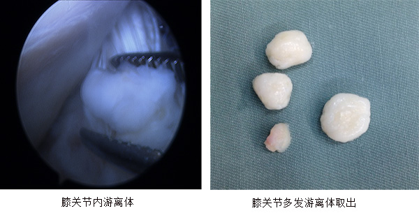 圖片9.jpg
