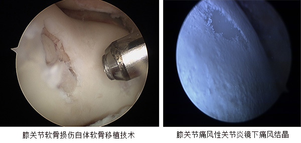 圖片11.jpg
