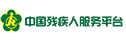 中國(guó)殘疾人服務(wù)平臺(tái)